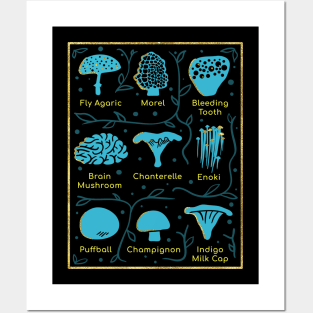 Types of Mushrooms Posters and Art